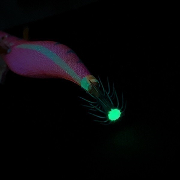 THE EGI Back at One【エギ/エギング/アオリイカ/コウイカ/堤防・防波堤・波止イカ釣り】